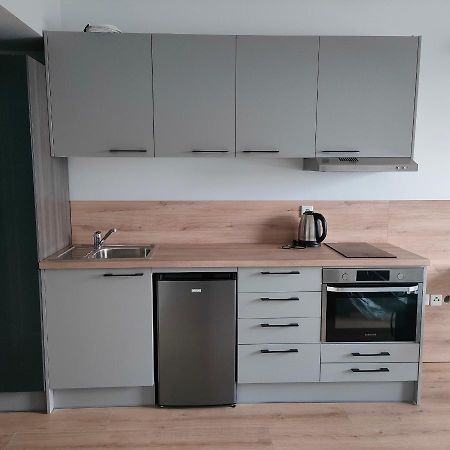 Sympozjum Loft Leilighet Krasków Eksteriør bilde